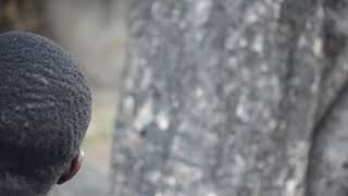 PART91:TAJIRI ALIEPEWA SHARTI LA KUTOJISAIDIA KWENYE CHOO CHA NYUMBA ALIYOJENGA YEYE KWA PESA YAKE
