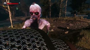 The Witcher 3 Wild Hunt PC - First Person Mod Gameplay