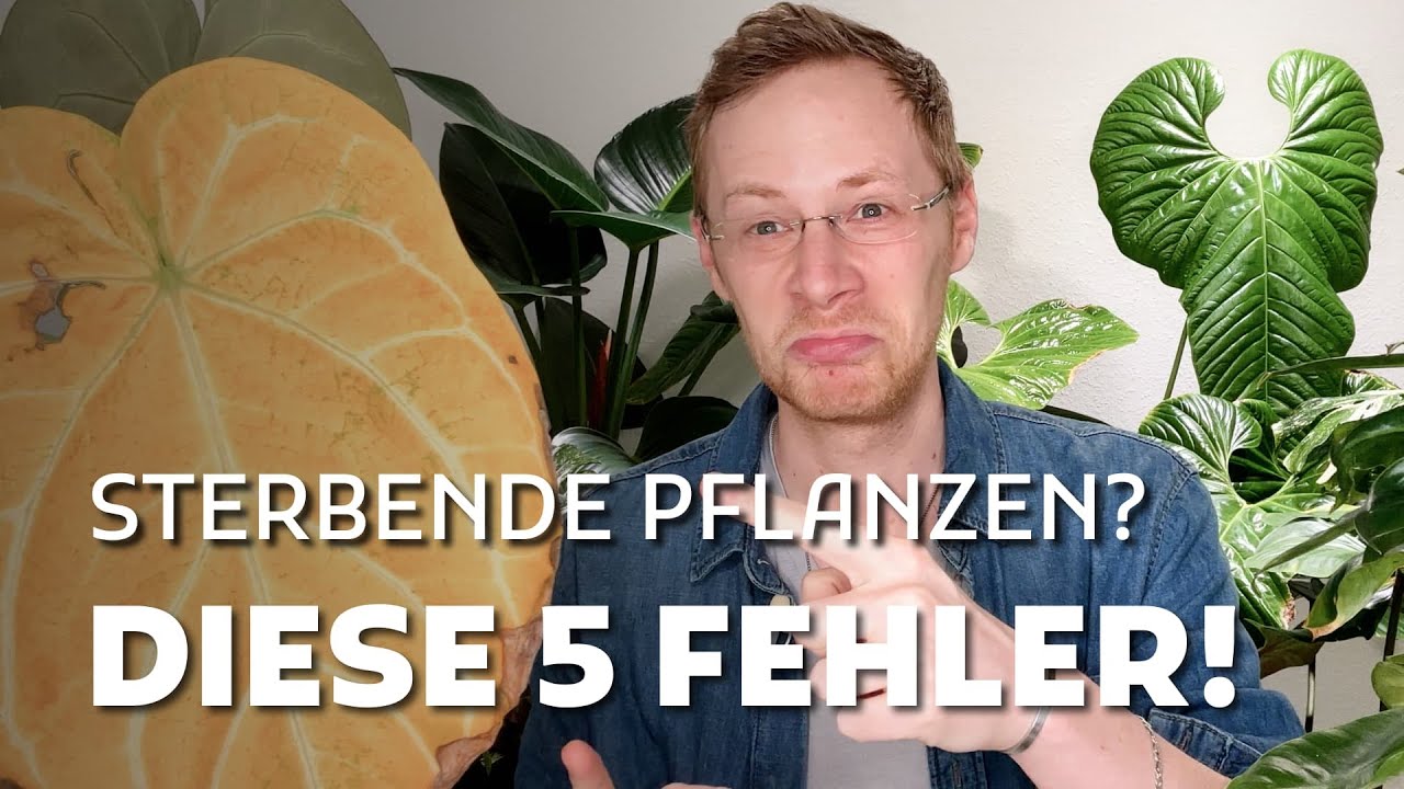 Warum deine Pflanzen sterben – 5 fatale Fehler & wie du sie vermeidest!