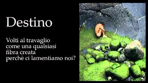 Quali sono le poesie di Giuseppe Ungaretti?