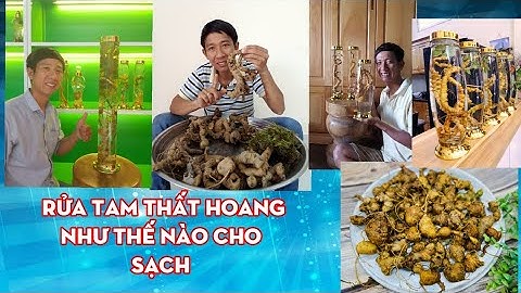 CÁCH BẢO QUẢN CỦ SÂM KO SỢ BỊ HƯ GỞI ĐI XA, BAO LÂU CŨNG ĐƯỢC