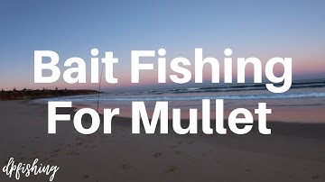 Bait Fishing For Mullet!