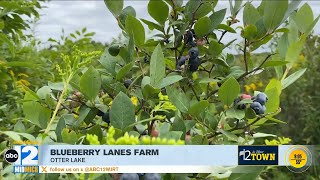 12 In Your Town: Blueberry Lane Farms