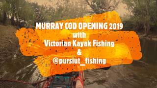 Murray Cod Opening 2019 Ovens River