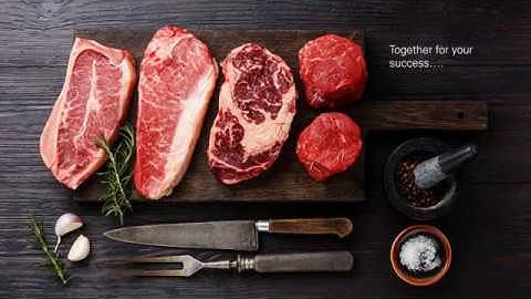 TVI Entwicklung & Produktion GmbH