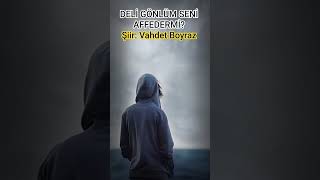 Deli̇ Gönlüm Seni̇ Affedermi̇ - Vaet Boyraz