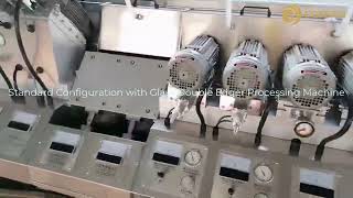 Configuration with Glass Double Edger Processing Machine Double Side Edging Machine