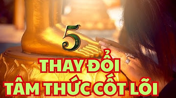 Nếu Thấy Khổ, Đừng Trách Đời: 5 Thay Đổi Tâm Thức Cốt Lõi Để Viết Lại Vận Mệnh Của Bạn