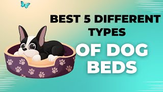 5 Different Types of Dog Beds and Their Differences by Animal Kingdom 87 views 8 months ago 3 minutes, 44 seconds