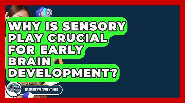 Why Is Sensory Play Crucial For Early Brain Development? - Brain Development Hub