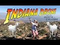 Indiana Drone and the Goats of Callosa