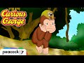 New Friends in the Rainforest | CURIOUS GEORGE