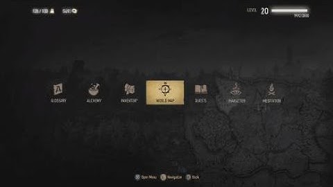 The Witcher 3: Wild Hunt 15 to save a dandelion