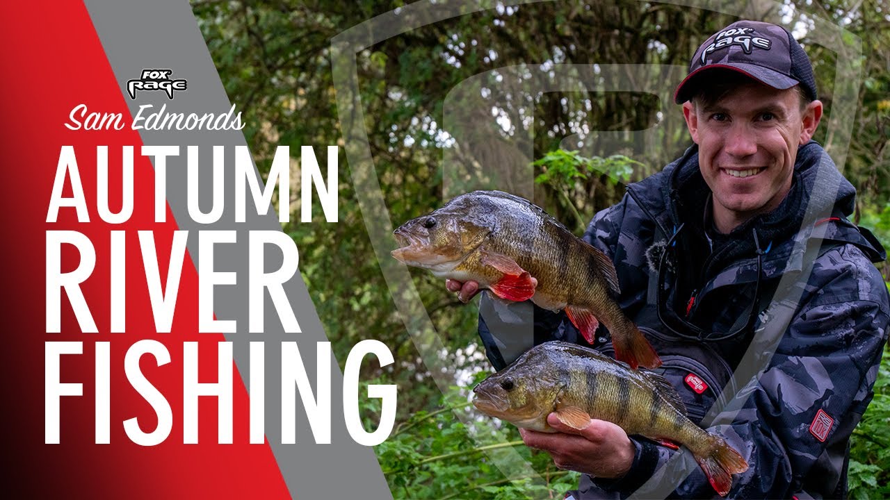 RIVER FISHING WITH LURES: Catching perch, pike and chub on soft lures and  crankbaits 