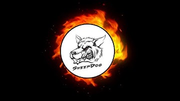 DCS A-10  Custom Snap views