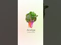 Vídeos de aprendizagem pré escolar #quiz #alphabet #cartoon #funny