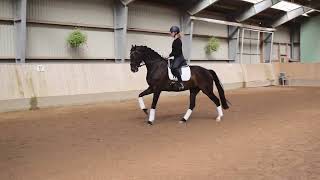 Drisdals Miss Duchesse