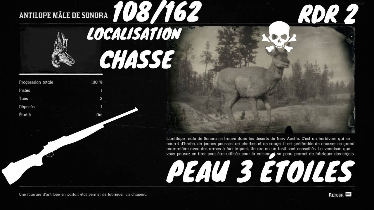 Tout Les Animaux: 108/162 L'Antilope Mâle De Sonora (Localisation) Red ...