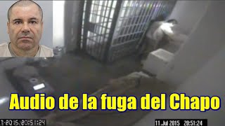 Audio de la fuga de “El Chapo”