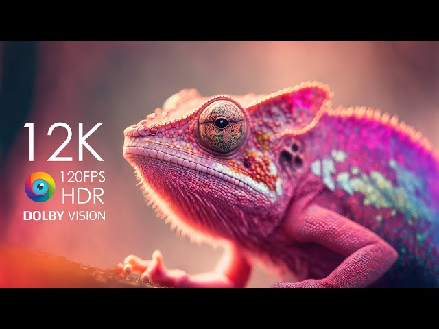 4K Media  Free Ultra-HD / HDR / HLG / Dolby Vision 4K Video Demos
