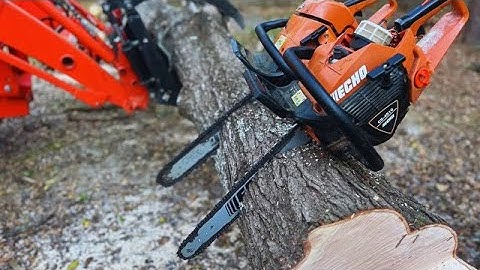 Echo CS 590 vs echo 4510: THIS WASN