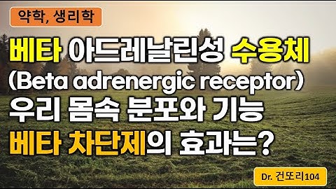 베타 아드레날린성 수용체(beta adrenergic receptor) 분포와 효과기별 기능, 베타차단제(beta-blocker)의 효과