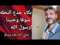 جذع النخلة يبكي شوقا وحنينا لفراق النبي فكيف بنا نحن؟
