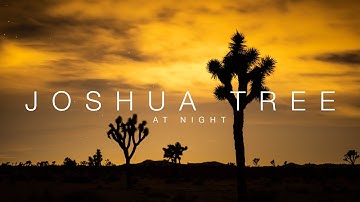 Joshua Tree at night | Time lapse stock footage