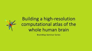 Building a high-resolution computational atlas of the whole human brain screenshot 3