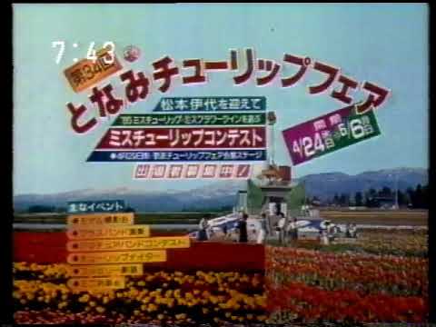 【昭和とやまローカルCM】第34回となみチューリップフェア