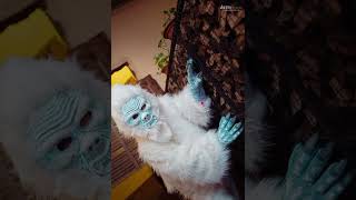 YETI ANIMAL DANCE WITH KHUSH #funny #yeti #yeti dansh