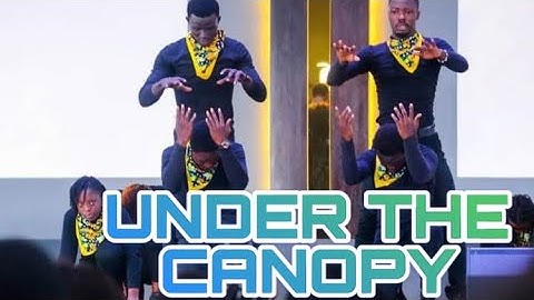 Under the Canopy by Frank Edwards