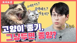 고양이 피부질환, 무시무시한 오해와 진실