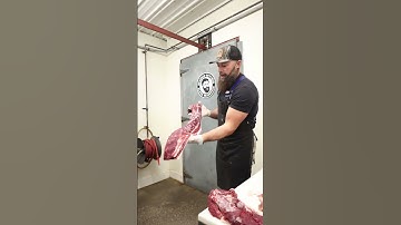 Enhance your deer processing skills with our latest video: "How to Cut a Deer!" 🦌 #shorts #deer