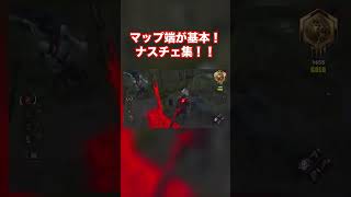 ナスチェの極意【DBD】