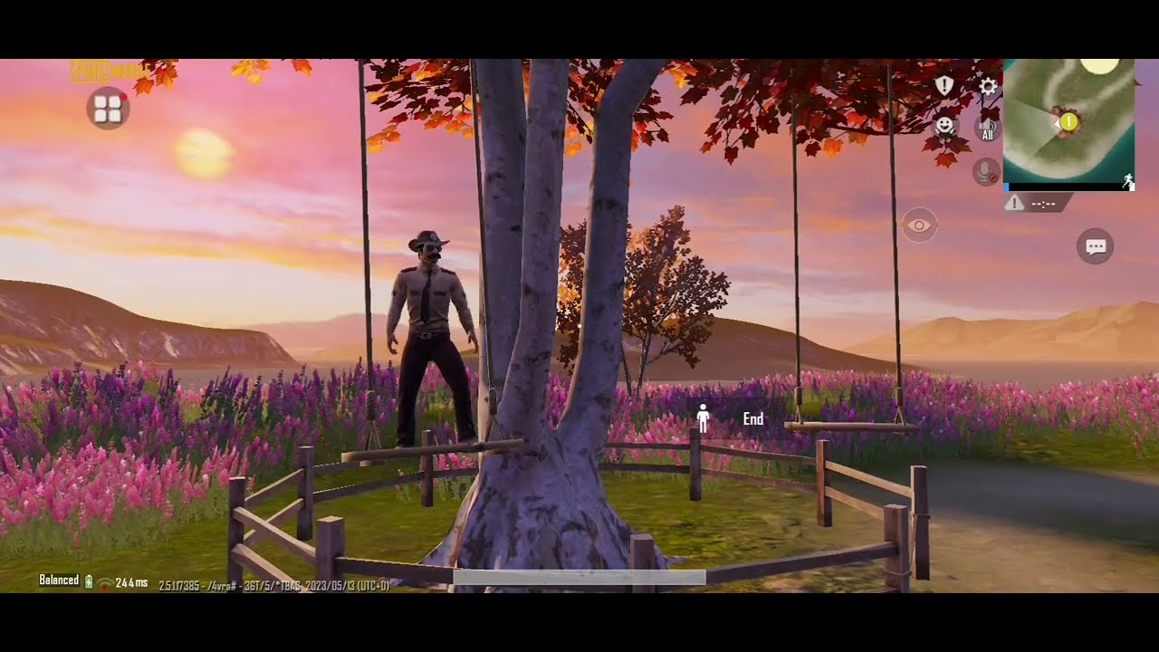 SWING /REAR VIEW AND PUNCH TRICKS 