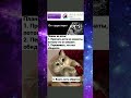 Мемы 37 #мем #мемы #мемыскотами #жиза