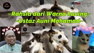 Rahsia disebalik warna kucing-Ustaz Auni Mohamad
