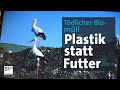 Tdlicher biomll strche durch plastik und gummiabflle gefhrdet  abendschau  br24