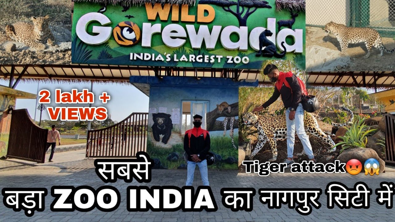 gorewada zoo jungle safari