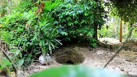 #How to Build Private Underground Temple Tunnel House With Swimming Pool