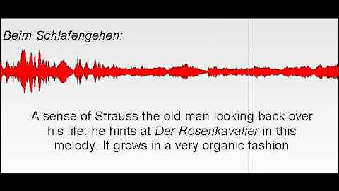 Strauss' Beim Schlafengehen from the Four Last Songs