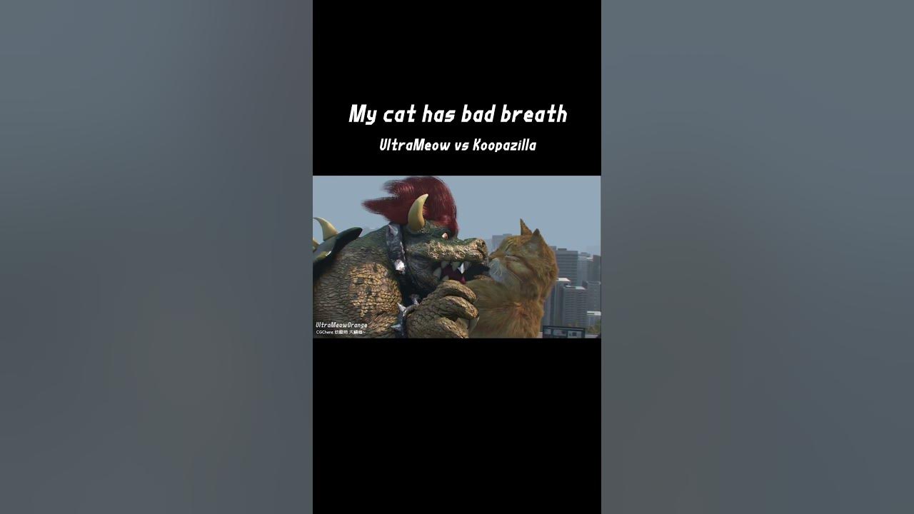 my-cat-has-bad-breath-ultrameow-vs-koopazilla-animated-godzilla-cat