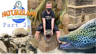Fantastic Nature land skegness part 2 tour