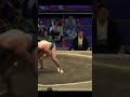 Aonishiki VS Dewanoryu Nagoya Basho 2024 Sumo #сумо #japan #япония #mma #sport #sumo #wwe #борьба