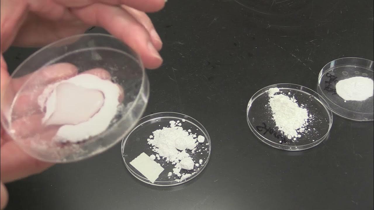 White Powders Lab 2021 YouTube