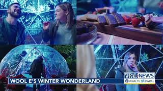 Wool E.s Winter Wonderland Brings Holiday Fun To Dbap