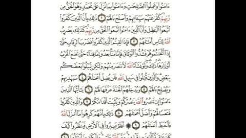 سورة محمد مكتوبة كاملة وبدون صوت