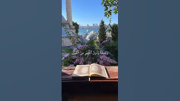 | قرآن كريم راحة نفسية |🫶🏻🩵 اللهم انصر اهلنا في فلسطين وغزة 🇵🇸🫀 #قرآن #فلسطين_حرة #راحة_نفسيه