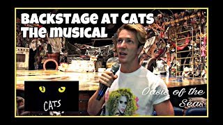 Backstage at Cats the musical
